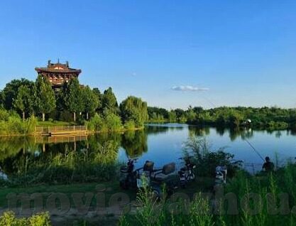 大象传媒一二3仙人-探索大象传媒的独特魅力,一二三与仙人的奇妙融合